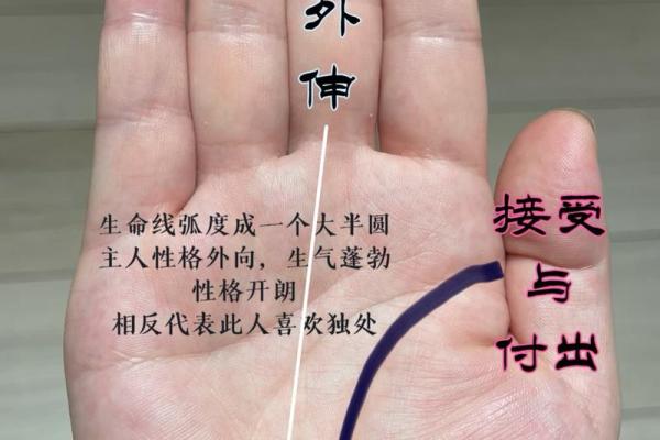 手感细腻，探寻手相中的秘密世界