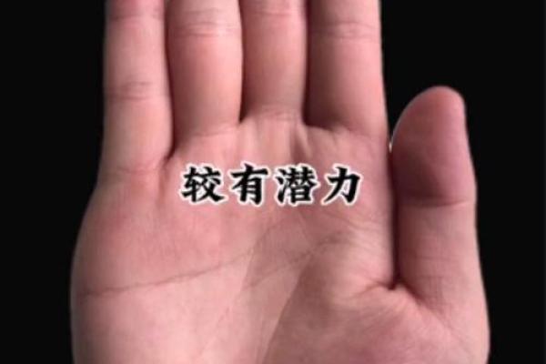 手感细腻，探寻手相中的秘密世界