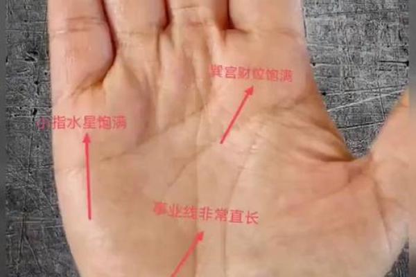 手相风水秘籍大公开，大师亲授，助你事业腾飞！