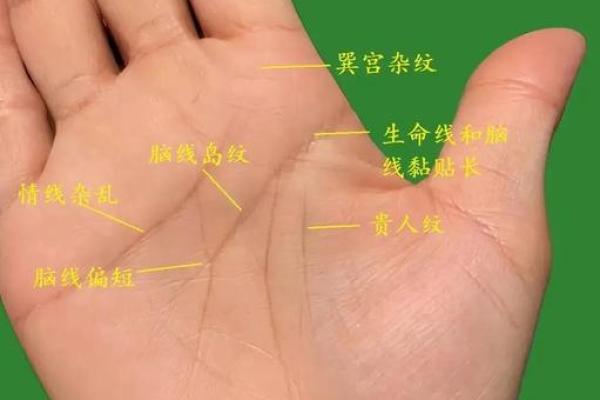 教师手相大揭秘：从这里看穿你的教育潜能