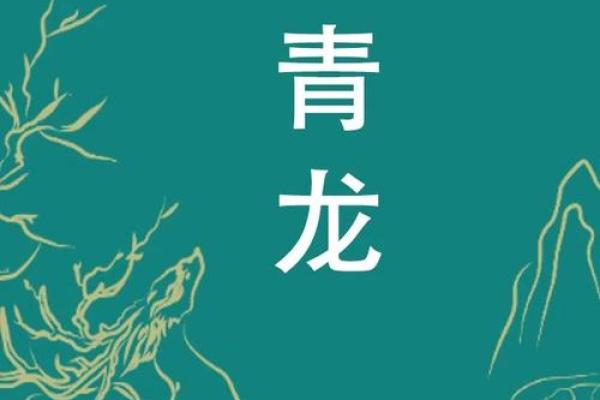 一探究竟：青龙命理，揭示你的天命之路