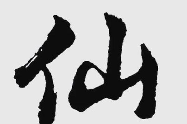 姓名奥秘：解码张姓的运势密码
