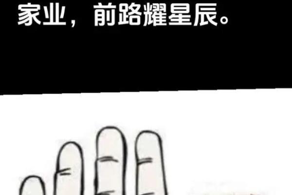 手相解读，解锁你的命运密码！