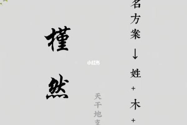 解锁天干地支月理数奥秘，人生更顺遂