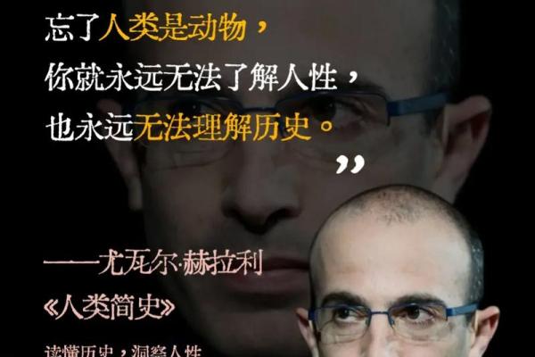 展熊：探秘名字中的运势奥秘，为你揭开姓名背后的力量