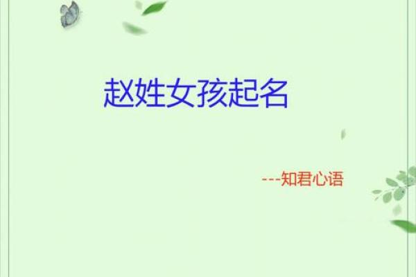 从王梦琳看中国姓名文化的传承与创斿