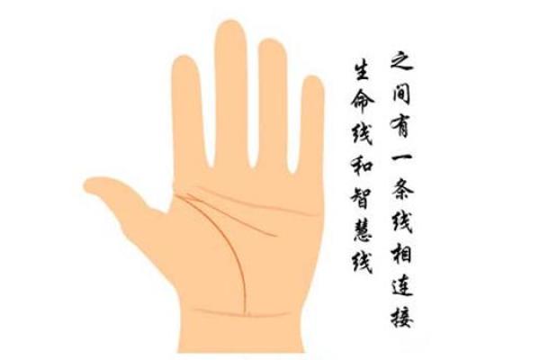 手相奥秘：平行智慧线，揭秘你的天赋潜能