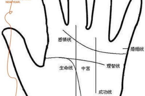 手相奥秘：平行智慧线，揭秘你的天赋潜能