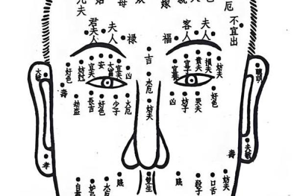 面相解析：男子五官间的命运密码