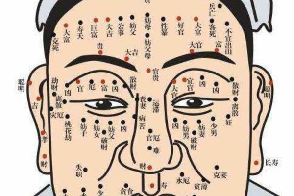 面相解析：男子五官间的命运密码