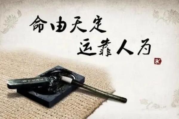 解析姓名奥秘：李晓晴的运势评分与未来展望