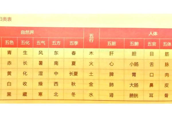 妙五行：如何理解五行与日常生活的关系