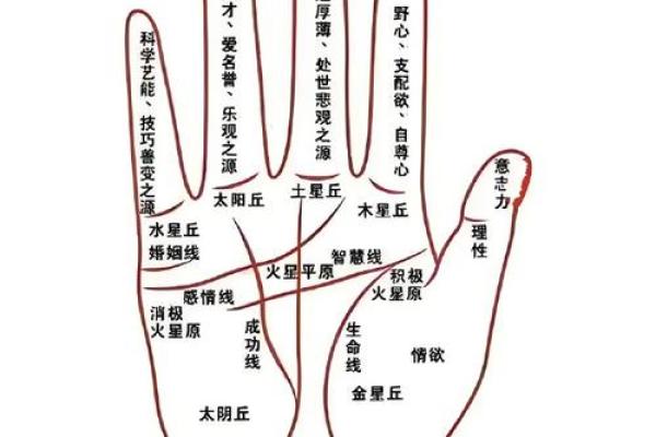 手上藏宝图：解锁你的运势密码