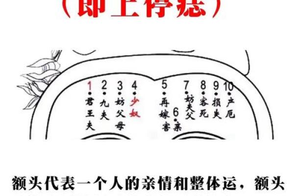 田宅痣的神奇力量，揭秘你的财富命运！