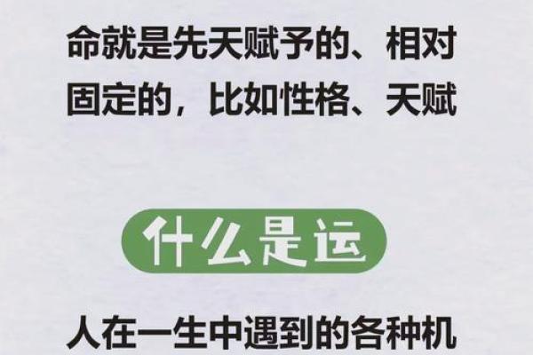 看脸识命运，揭秘面相与脚相的惊人秘密！
