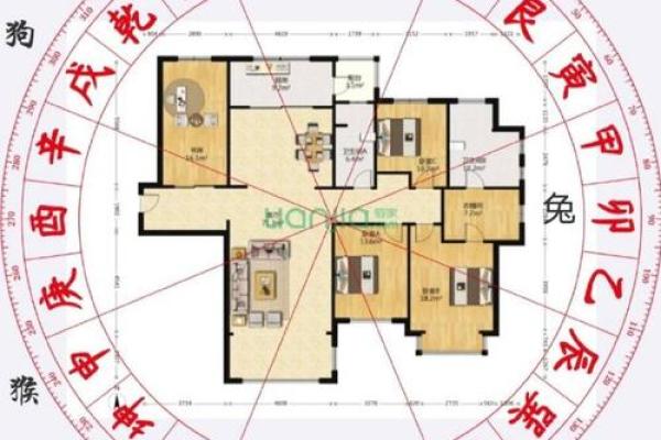 兔年旺运办公室风水布局，招财旺运必备