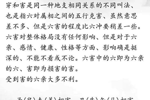生肖揭秘：地支六冲的神秘力量