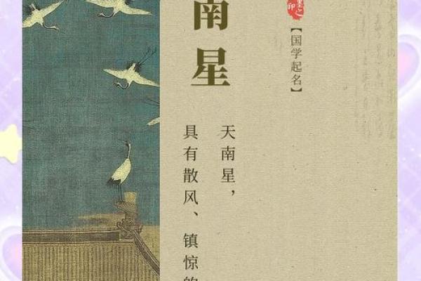 探寻带岱名字的独特寓意与影响力
