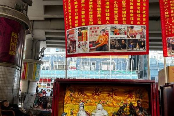 民间瑰宝：世界节日文化盛宴