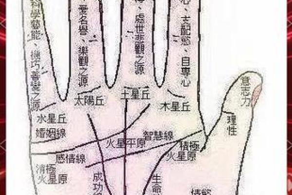 左手相男，教你读懂命运密码