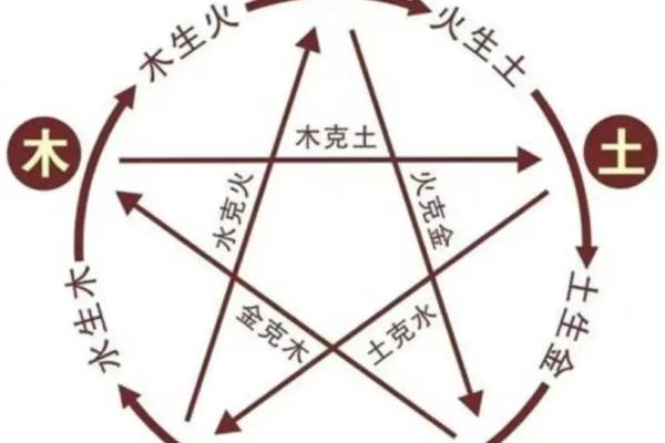 伍字的五行归属与命理关系