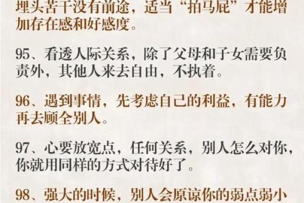 掌握人生规律：命理智慧宝典