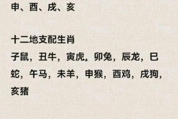 华五行属性与命理分析