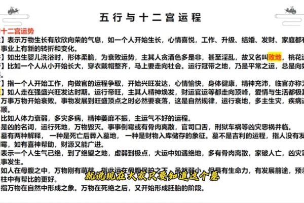 理字五行属性详解