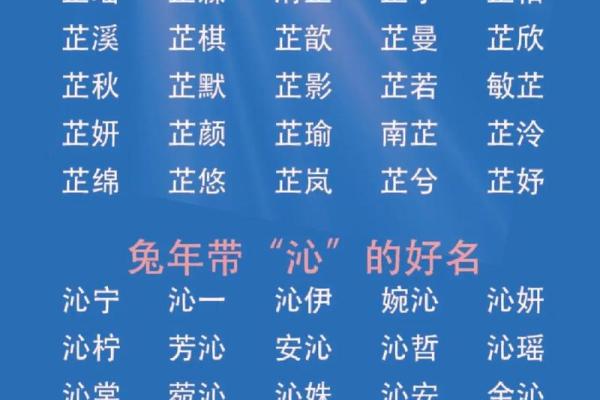 含婵名字的独特寓意与文化背景解析