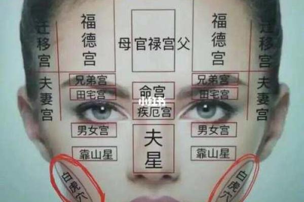 脑门有坑面相揭秘：命运坎坷还是大器晚成？