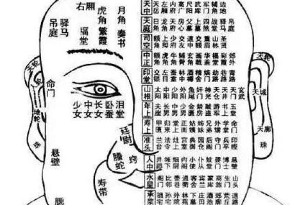 大脸盘面相揭秘：运势与性格的神秘联系
