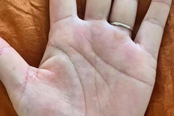 一探究竟：面相与手相，谁才是真正的神秘预测？