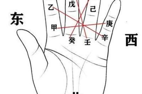 姓名五行查询：揭开命运之谜的第一步