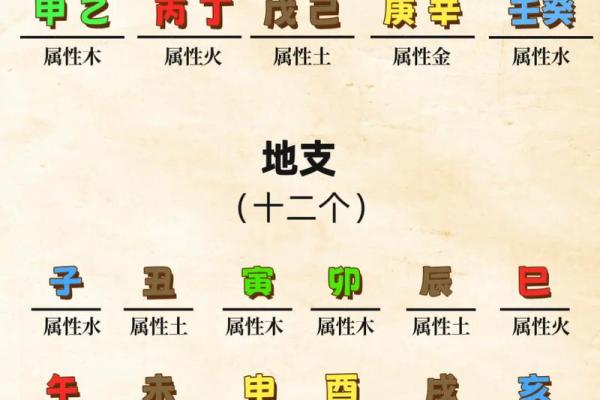 金水相生，木火相克，揭秘十二地支的神秘力量