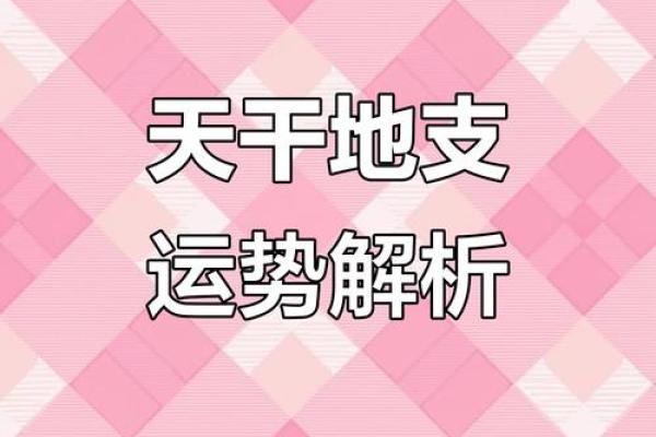 地支运势排行榜：谁将是你今年的幸运星？