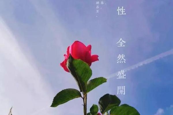 欧宁姓名运势解析：安宁之音，人生和谐之道