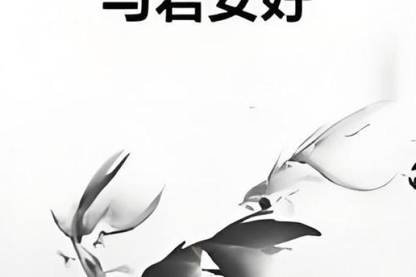 和安之韵：和谐安宁，命运如歌