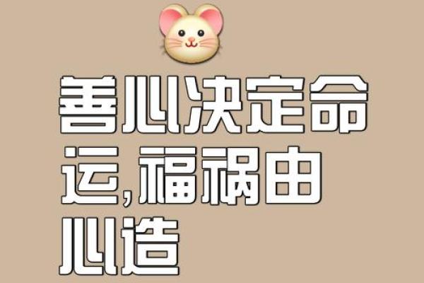 和安之韵：和谐安宁，命运如歌