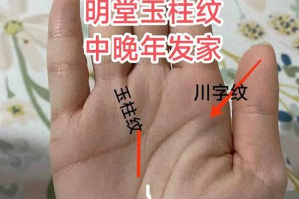 明星手相揭秘：运势、爱情全掌握！
