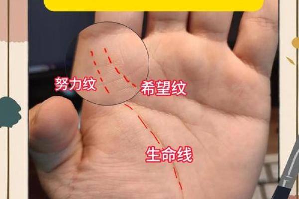 明星手相揭秘：运势、爱情全掌握！