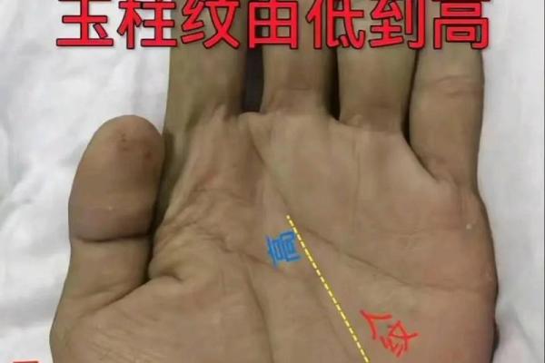 坎宫乱纹揭秘：运势起伏，命运转折点