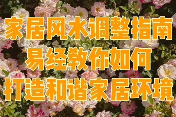 家居风水宝典：快速提升运势的家居布置技巧