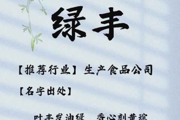 如何为运营公司取一个独特而有吸引力的名字