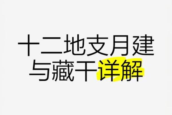 古今智慧结晶：一探地支藏干值日天数之秘