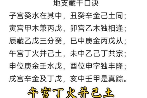古今智慧结晶：一探地支藏干值日天数之秘
