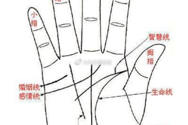 离婚男手相揭秘：哪些特征预示着再次单身？