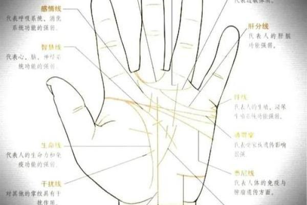 无成功线手相揭秘，运势逆袭不再是梦！