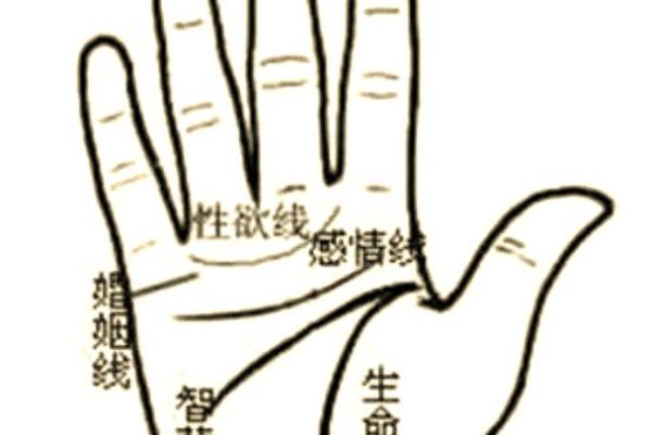 无成功线手相揭秘，运势逆袭不再是梦！