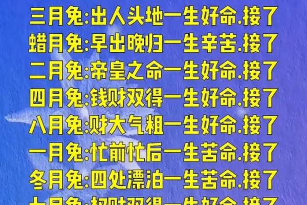 探秘阴历算命与生辰八字的奥秘