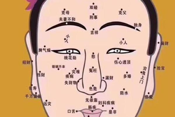面相绝技：一眼看穿命运之谜